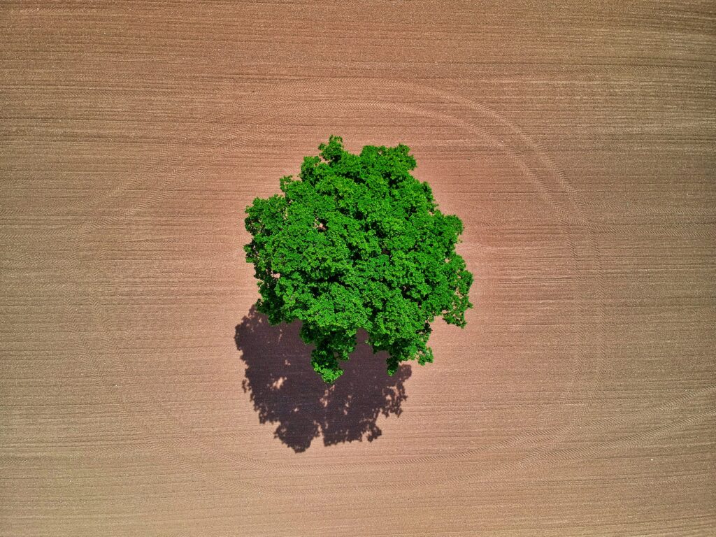 earth-pro-1