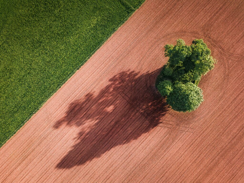 earth-pro-2
